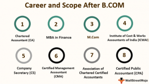 CA, MBA in finance, Mcom, company secretary, certified management accountant, CPA